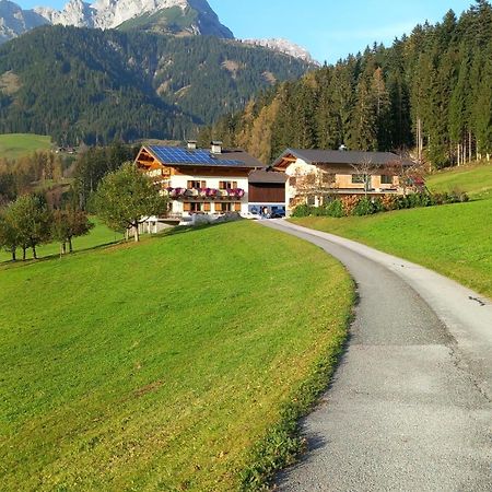Frische Bergluft Und Laendlicher Charme - Ihr Aktiver Urlaub Am Muehlauhof Mühlbach am Hochkönig エクステリア 写真