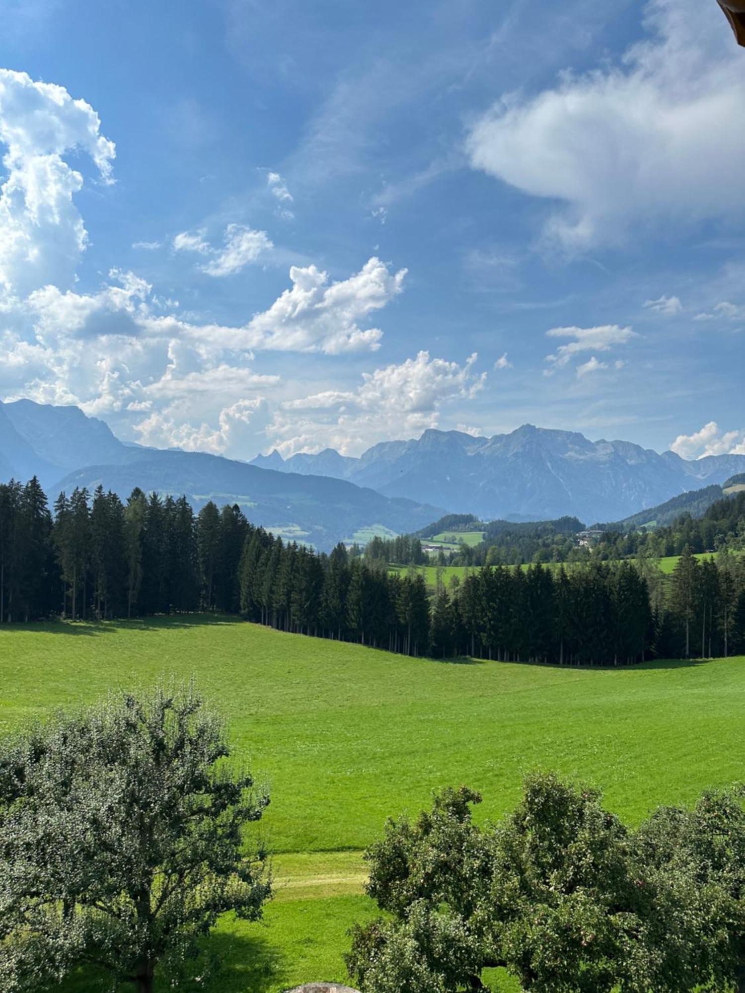 Frische Bergluft Und Laendlicher Charme - Ihr Aktiver Urlaub Am Muehlauhof Mühlbach am Hochkönig エクステリア 写真