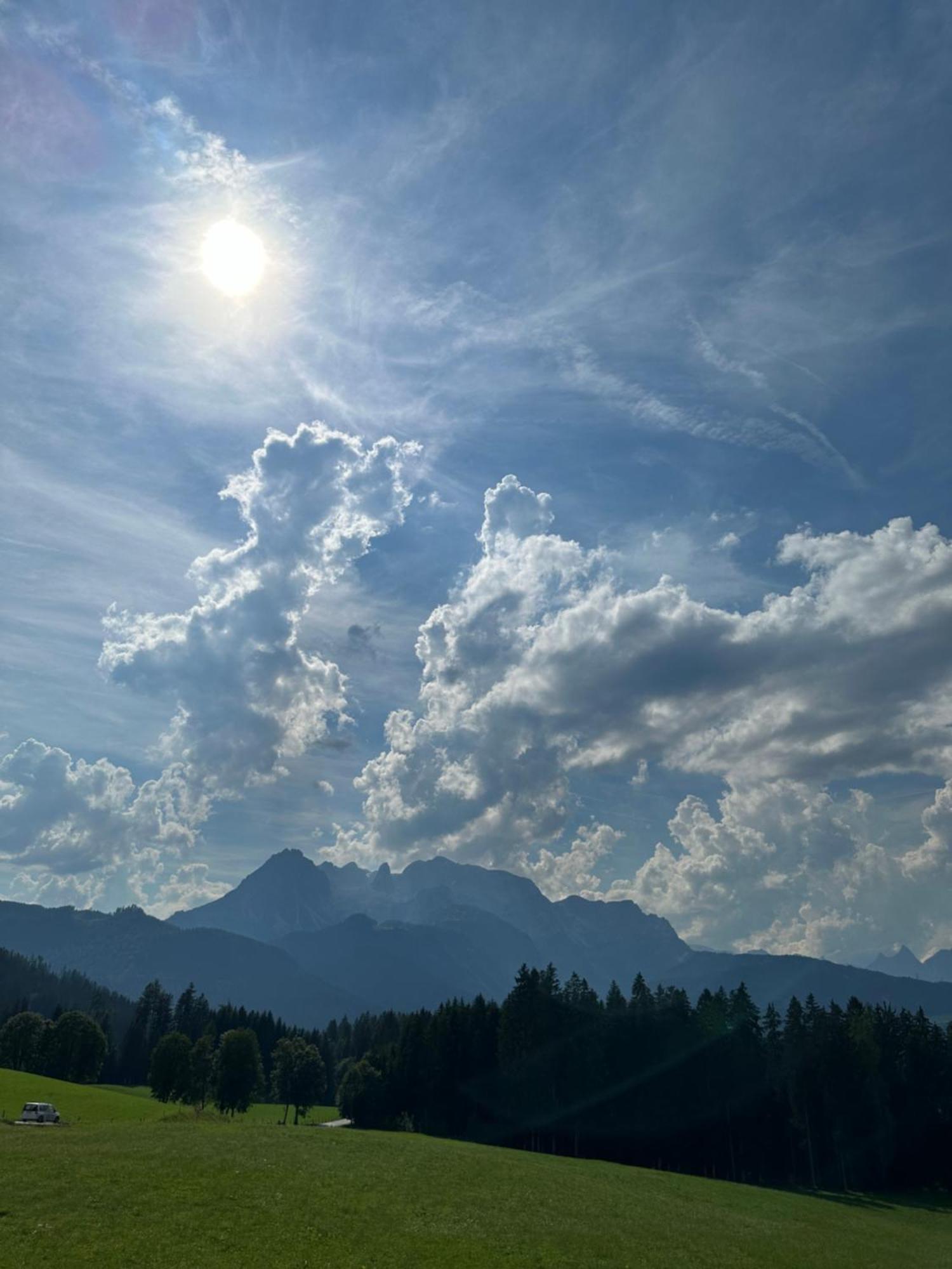 Frische Bergluft Und Laendlicher Charme - Ihr Aktiver Urlaub Am Muehlauhof Mühlbach am Hochkönig エクステリア 写真