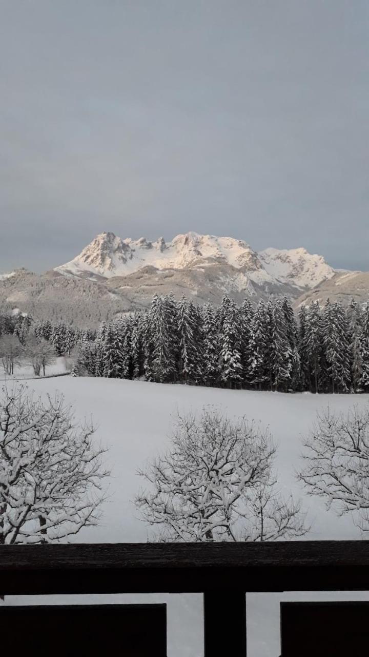 Frische Bergluft Und Laendlicher Charme - Ihr Aktiver Urlaub Am Muehlauhof Mühlbach am Hochkönig エクステリア 写真