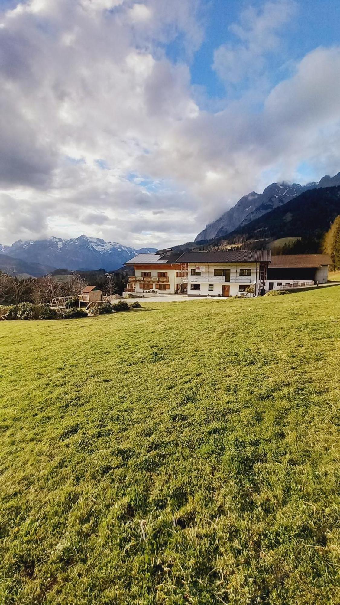 Frische Bergluft Und Laendlicher Charme - Ihr Aktiver Urlaub Am Muehlauhof Mühlbach am Hochkönig エクステリア 写真