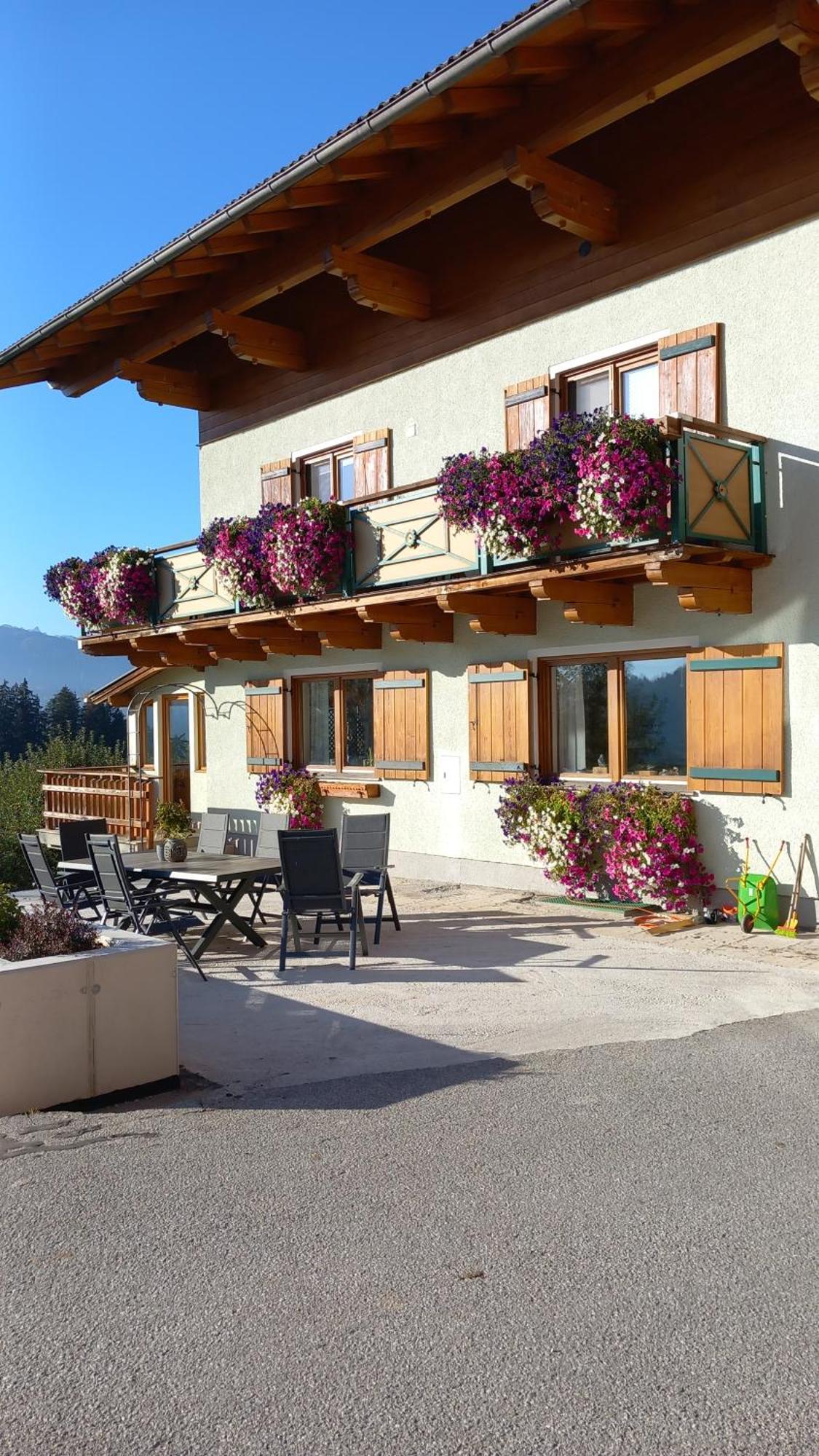 Frische Bergluft Und Laendlicher Charme - Ihr Aktiver Urlaub Am Muehlauhof Mühlbach am Hochkönig エクステリア 写真